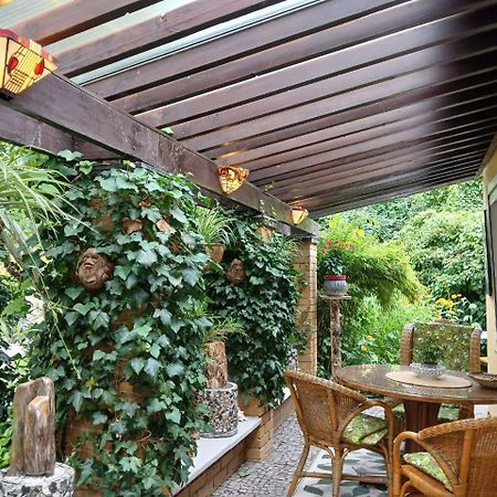 פוטסדאם Gartenhaus Steffie מראה חיצוני תמונה