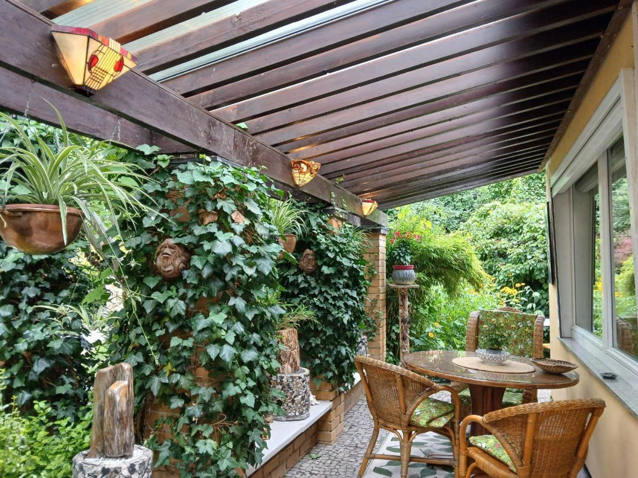 פוטסדאם Gartenhaus Steffie מראה חיצוני תמונה