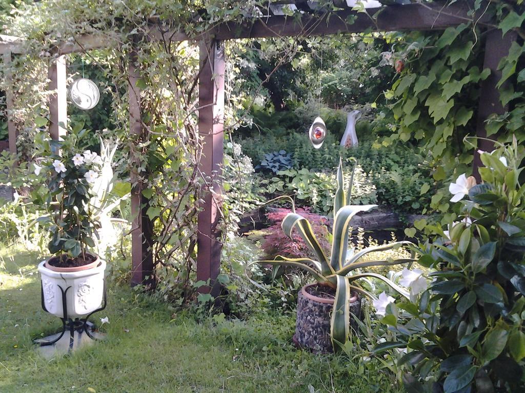 פוטסדאם Gartenhaus Steffie מראה חיצוני תמונה