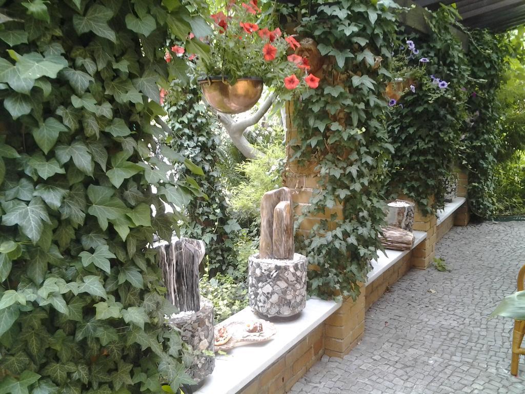פוטסדאם Gartenhaus Steffie מראה חיצוני תמונה
